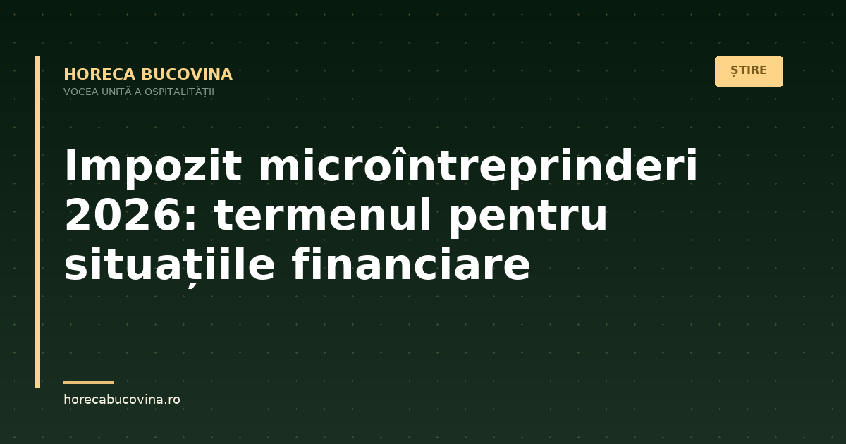 Impozit microîntreprinderi 2026: Clarificări de la un consultant fiscal privind termenul pentru depunerea situațiilor financiare